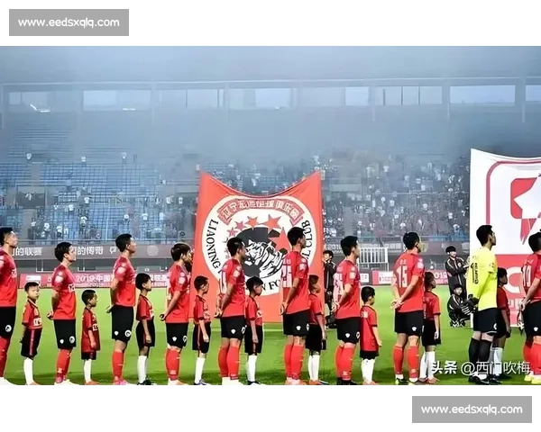 2928 天的等待！辽宁铁人冲超，辽沈足球归位中超