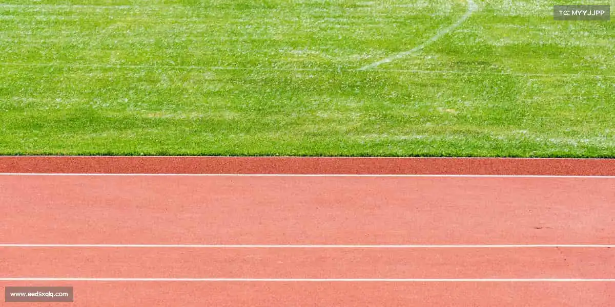 <strong>中欧体育</strong>🏈凝聚力量，共赴巅峰 —— 这里，没有孤军奋战！